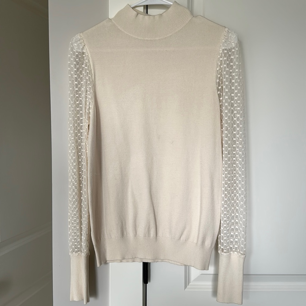Gorgeous Sweater with Mesh Dot sleeves.
